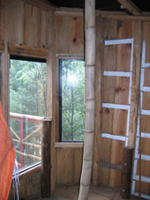 Aren't our windows great?